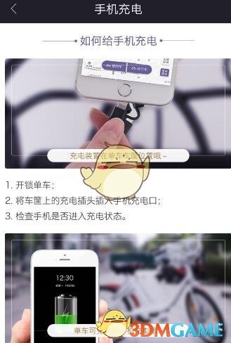 网红猫爷掀起猫步模仿潮